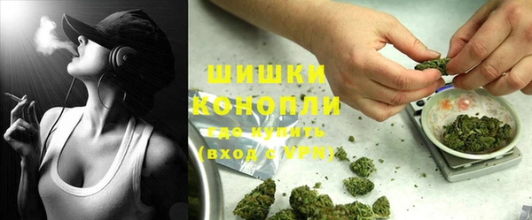 прущие грибы Абаза