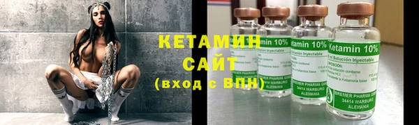 прущие грибы Абаза