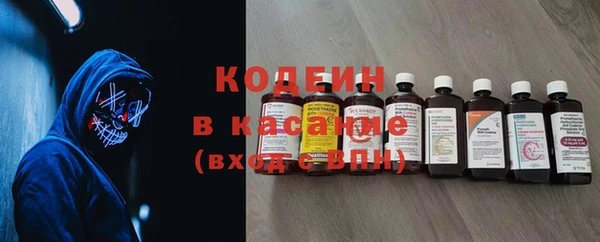 прущие грибы Абаза