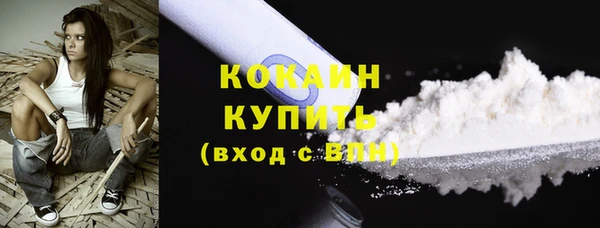 прущие грибы Абаза