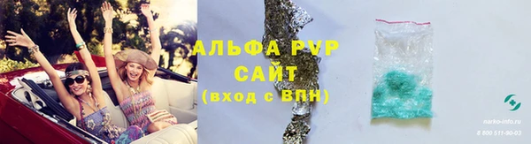 прущие грибы Абаза