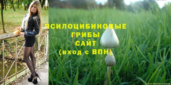 трава Нязепетровск