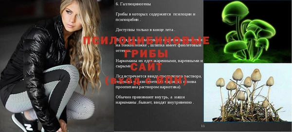 прущие грибы Абаза