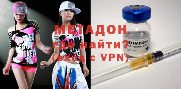 прущие грибы Абаза