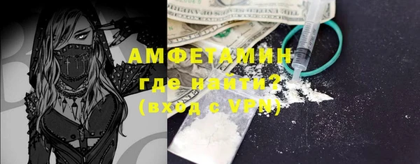 прущие грибы Абаза