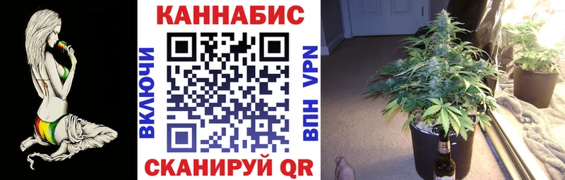 Конопля SATIVA & INDICA  купить наркотик  Ивангород 
